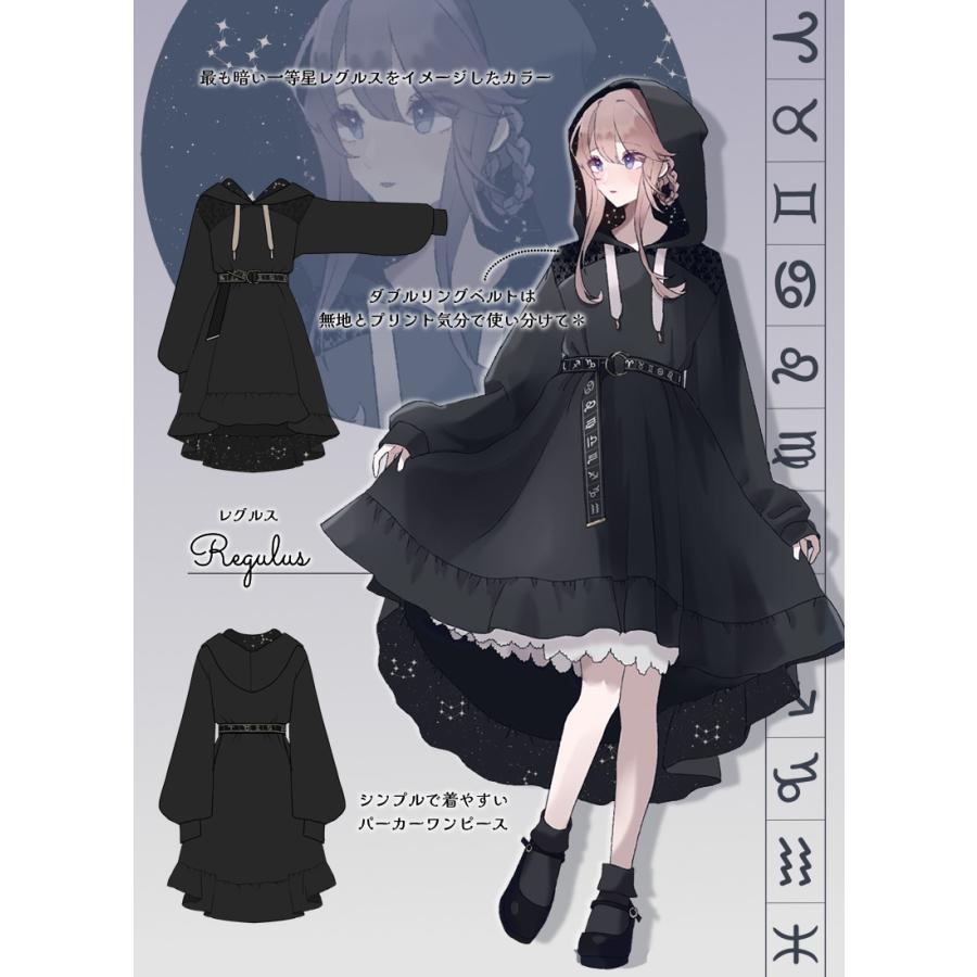 最短即日出荷]星座 夜空 Favorite フェイバリット シリウスとレグルス