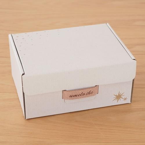 umelo ihc ウメロイーク ファーストシューズ 手作りキット gura グラ