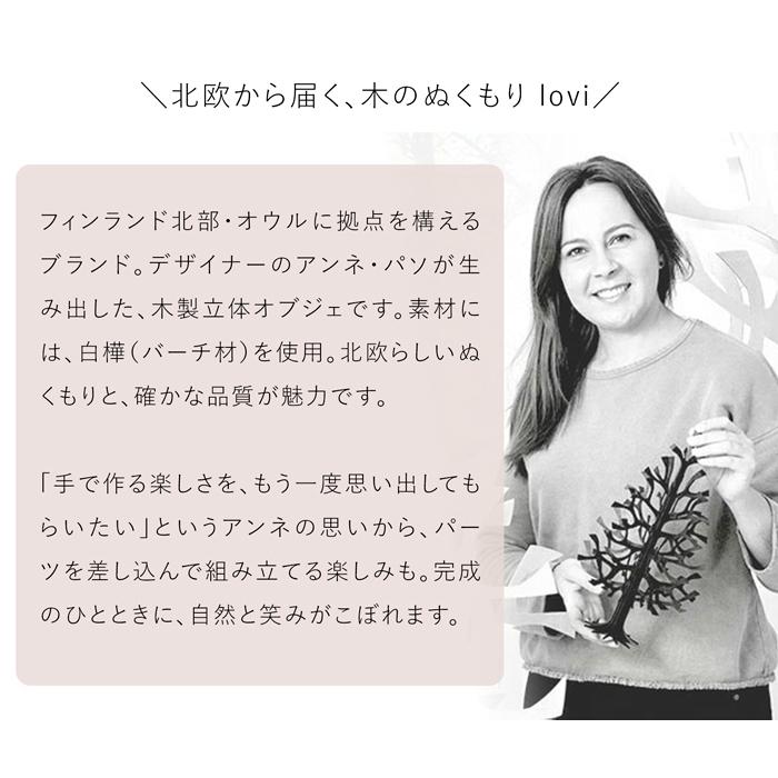 ＼GW限定ポイント10倍／ lovi ロヴィ クリスマスツリー ツリー Momi-no-ki 25cm ミニボールセット もみの木 クリスマス オーナメント 北欧_14