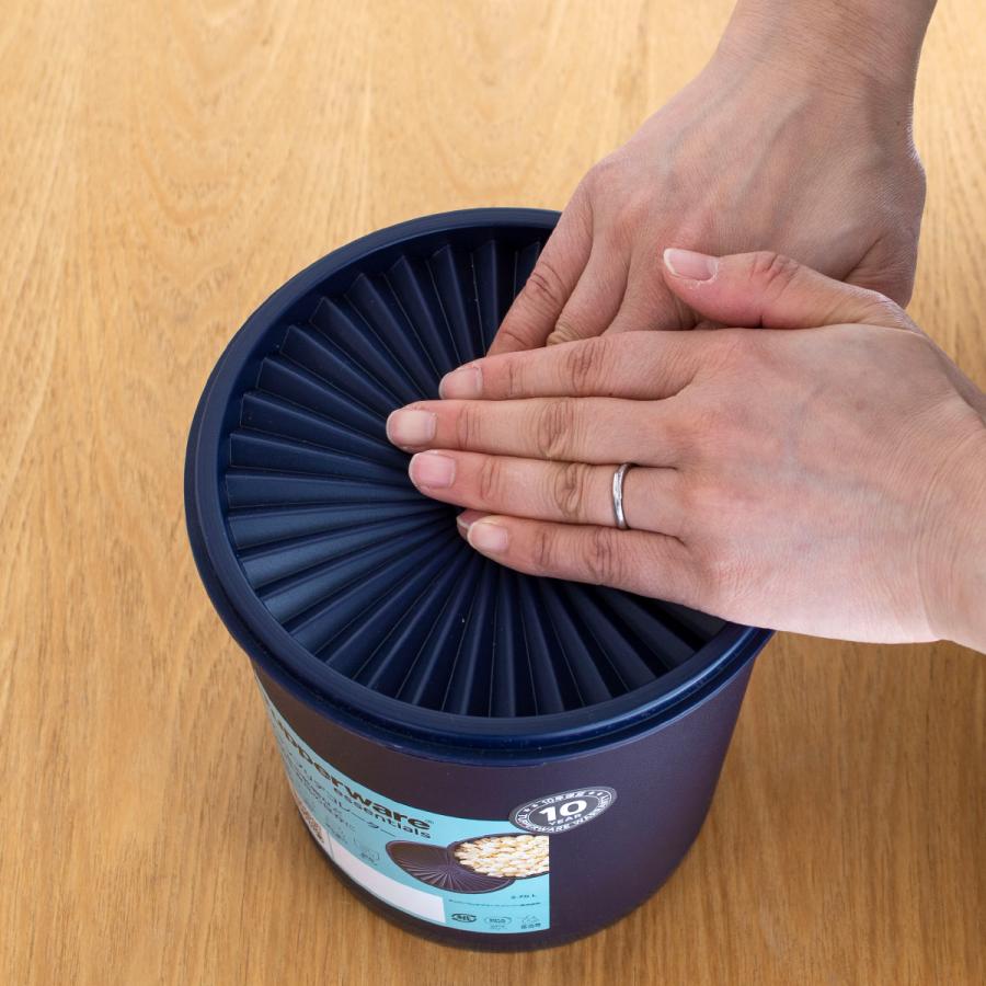 Tupperware 【取扱終了】タッパーウェア マキシデコレーター Tupperware 【取扱終了】タッパーウェア マキシデコレーター
