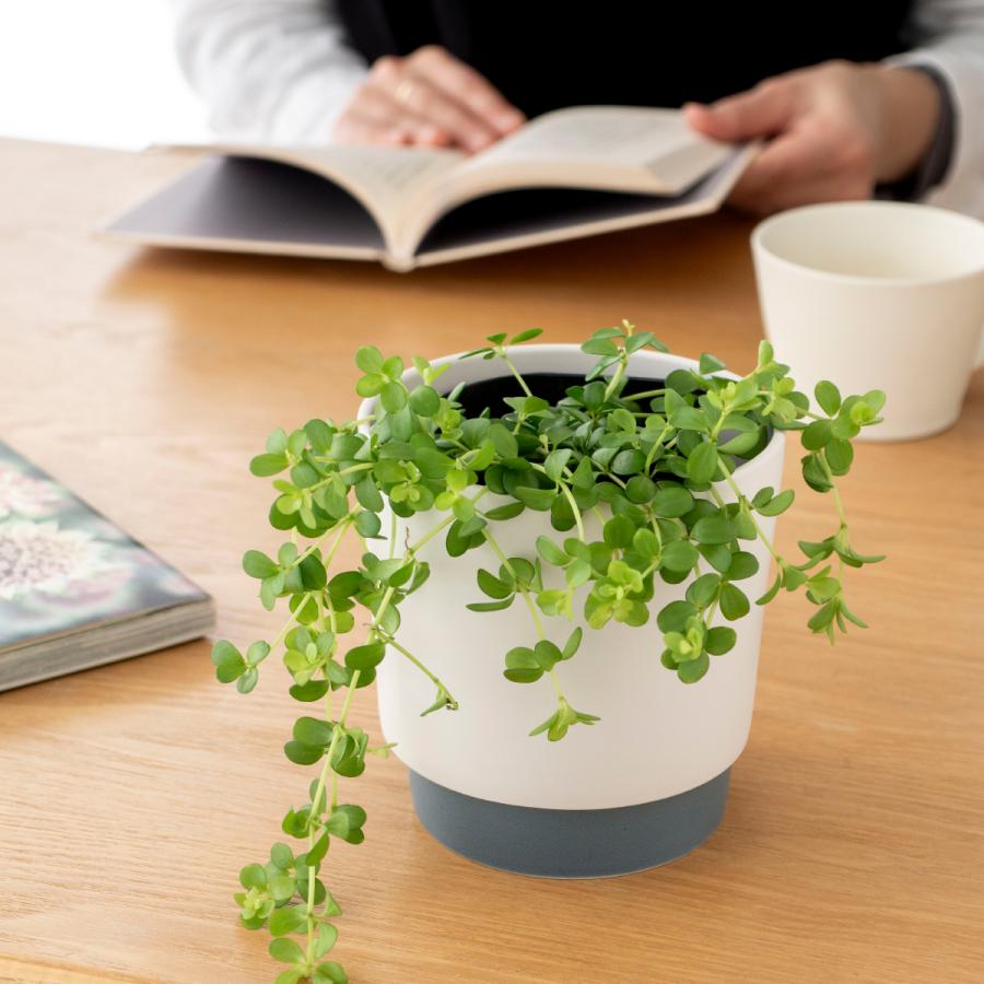 植木鉢andソーサー✳︎POT観葉植物✳︎園芸プランター AND PLANTS（アンドプランツ） 植木鉢 鉢 ecopots Stockholm 5号