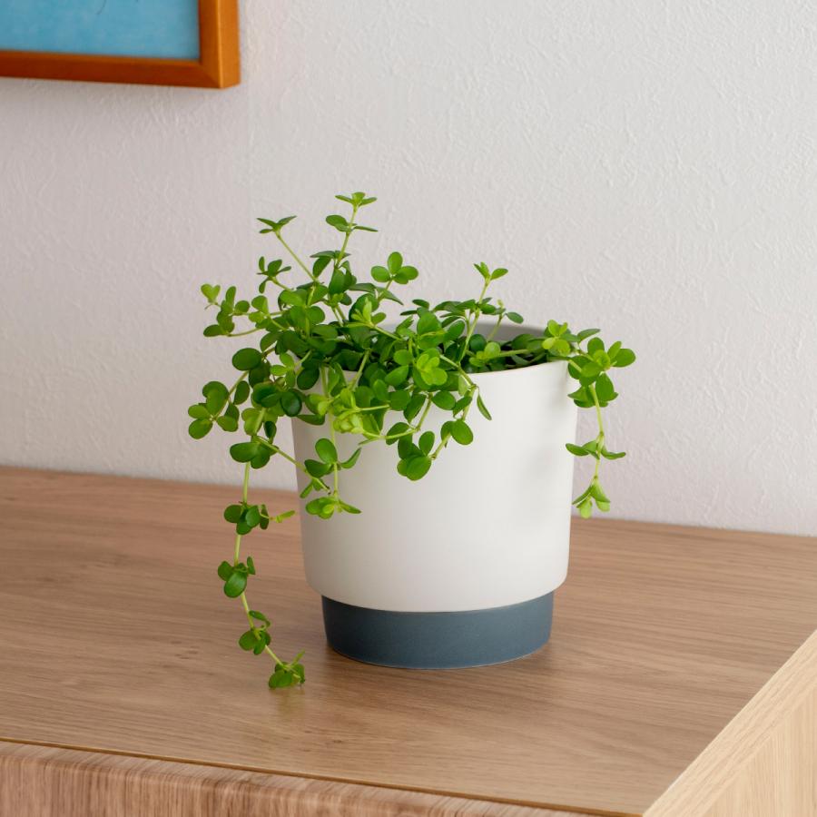 プランターポット 植木鉢 直径11.5cm プランター 中 陶磁器 ground