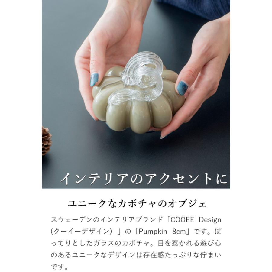 FAU SHINY PUMPKIN 業務用セットかぼちゃピールパンプキンピール クーポン対象 6/2 10:59迄／ COOEE Design クーイーデザイン Pumpkin