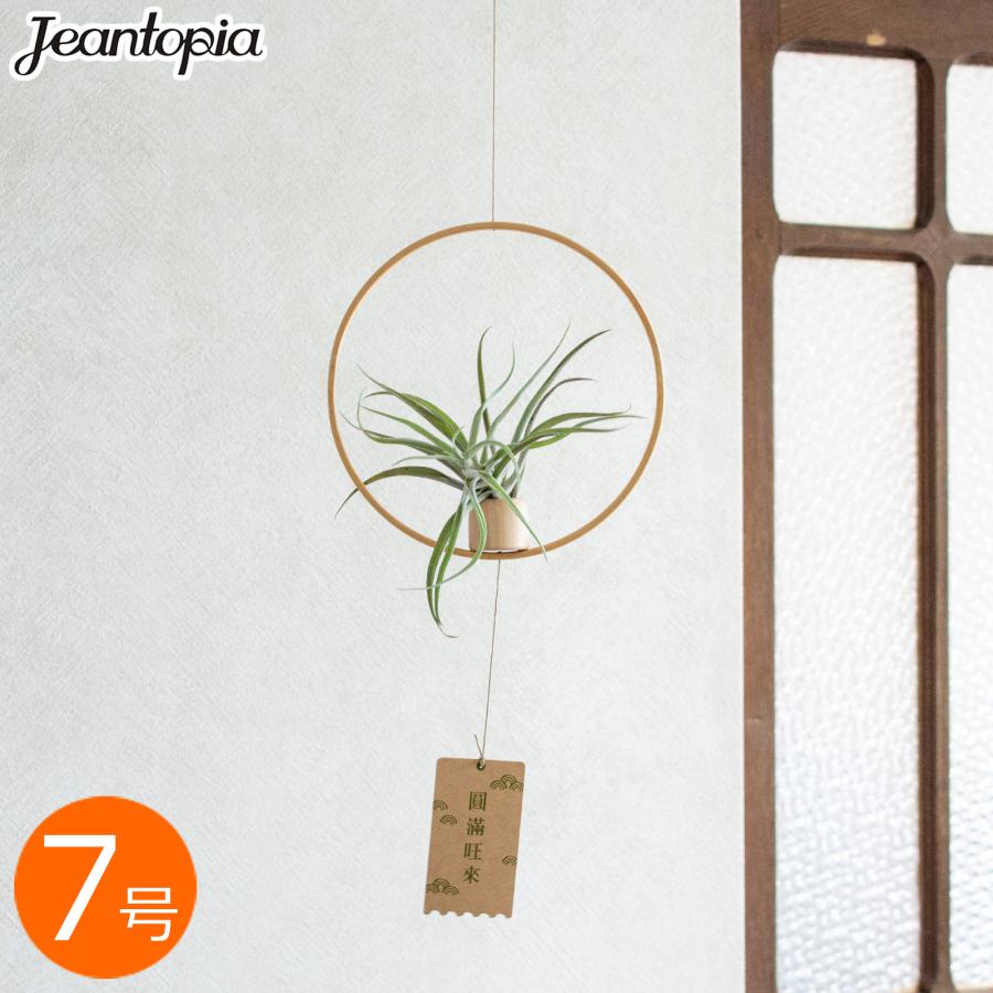 エアプランツ モビール 7号 竹 ハンギング 吊るす 飾る 観葉植物