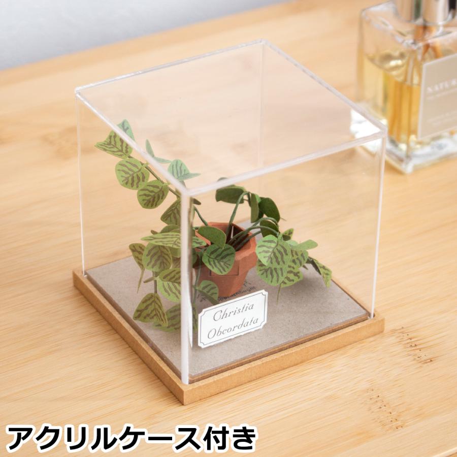 10/11はポイント10倍／ ペーパークラフトキット アクリルケース セット