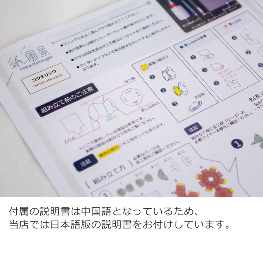 7/25・26はポイント10倍／ ペーパークラフトキット アクリルケース