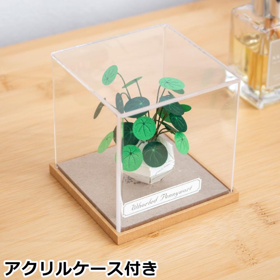 2/22はポイント10倍／ ペーパークラフトキット アクリルケース付き