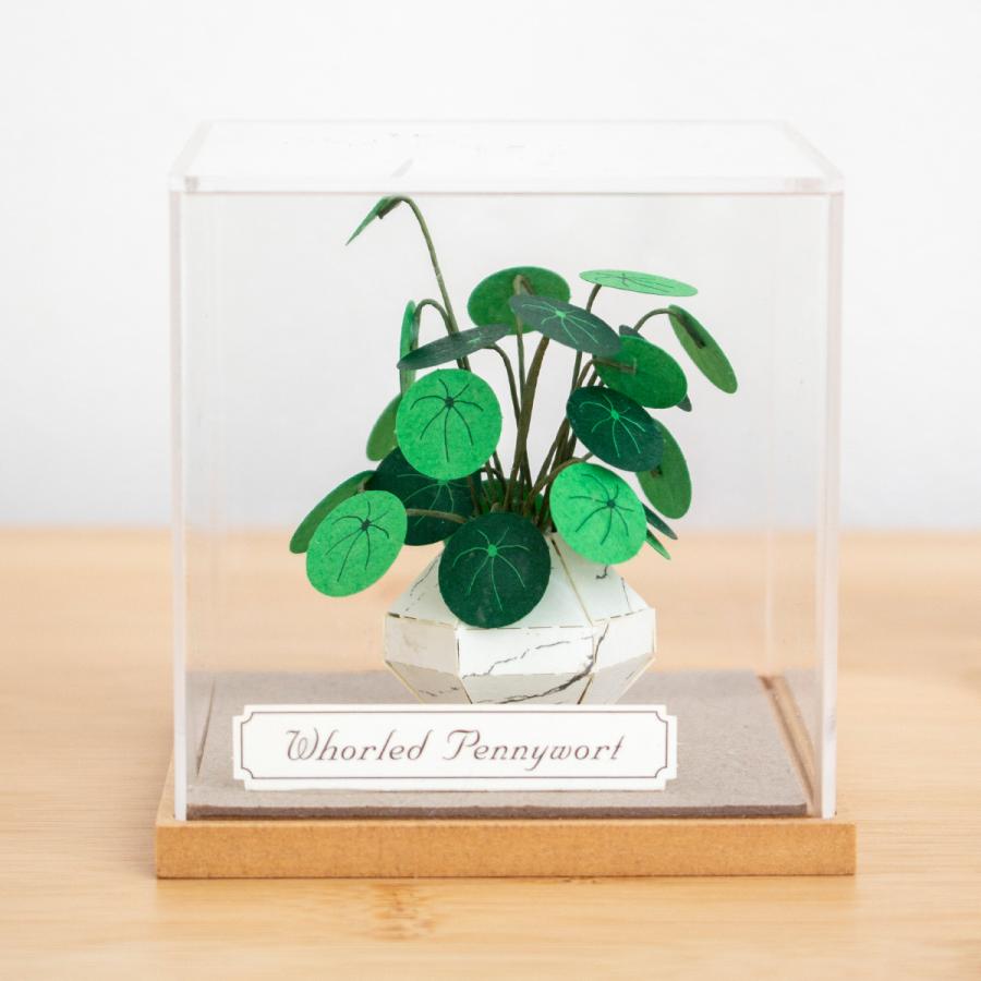 2/22はポイント10倍／ ペーパークラフトキット アクリルケース付き