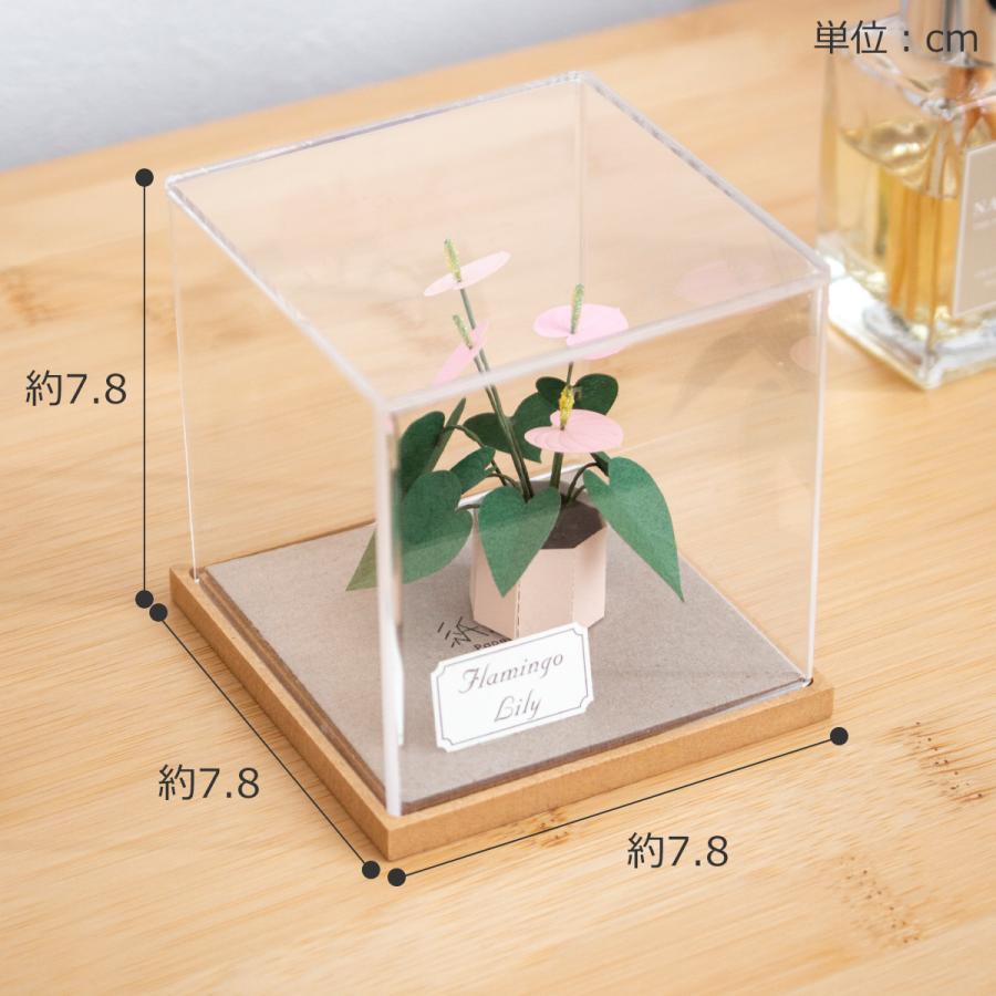 6/5-7はポイント10倍／ ペーパークラフトキット アクリルケース付き