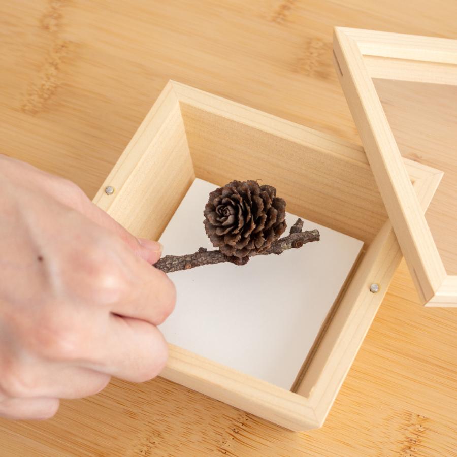 コレクションボックス 木製 S わにもっこ コレクションケース アクリル