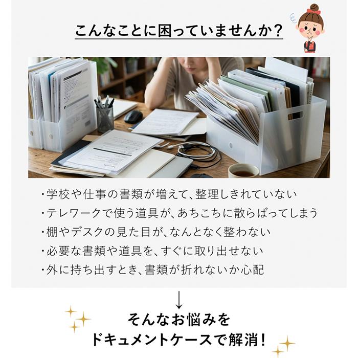 一新堂 ドキュメントケース 厚さ60mm A4 3冊セット チップボール