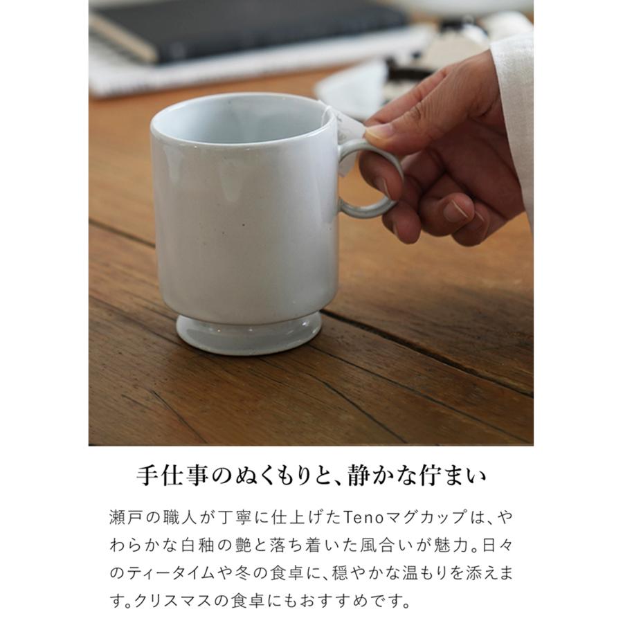 AXCIS（アクシス） ＼3/5はポイント10倍／ アクシス Teno マグカップ