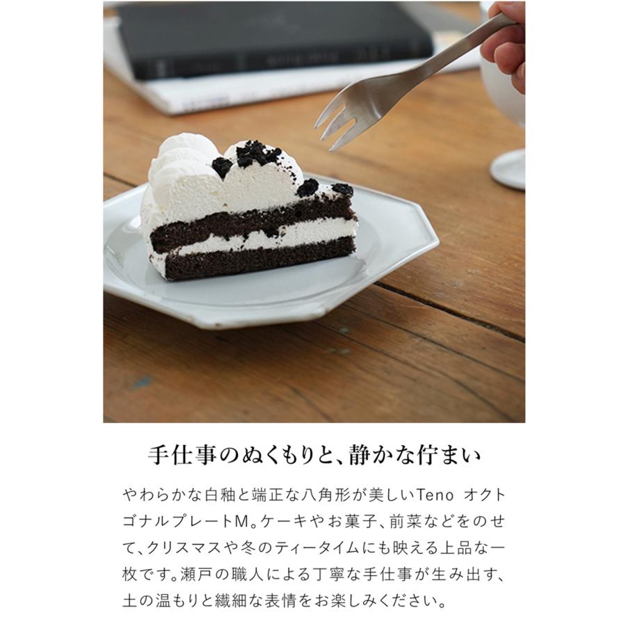 AXCIS（アクシス） Teno オクトゴナルプレート M お皿 おしゃれ 食器