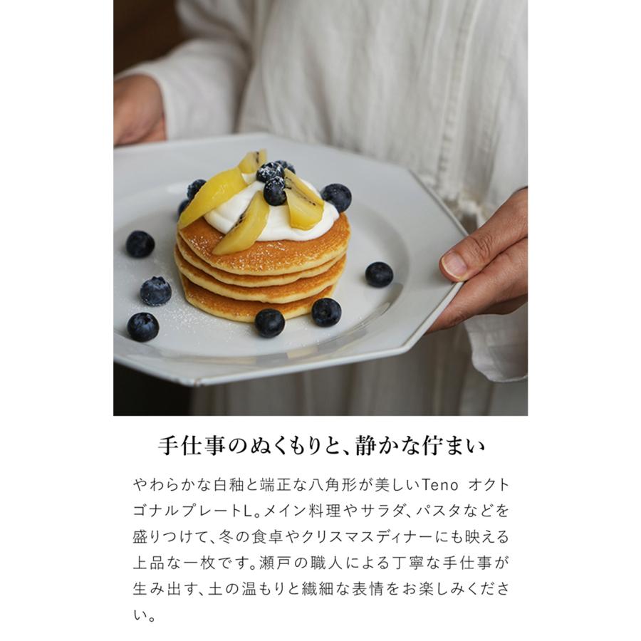 AXCIS（アクシス） Teno オクトゴナルプレート L お皿 おしゃれ 食器