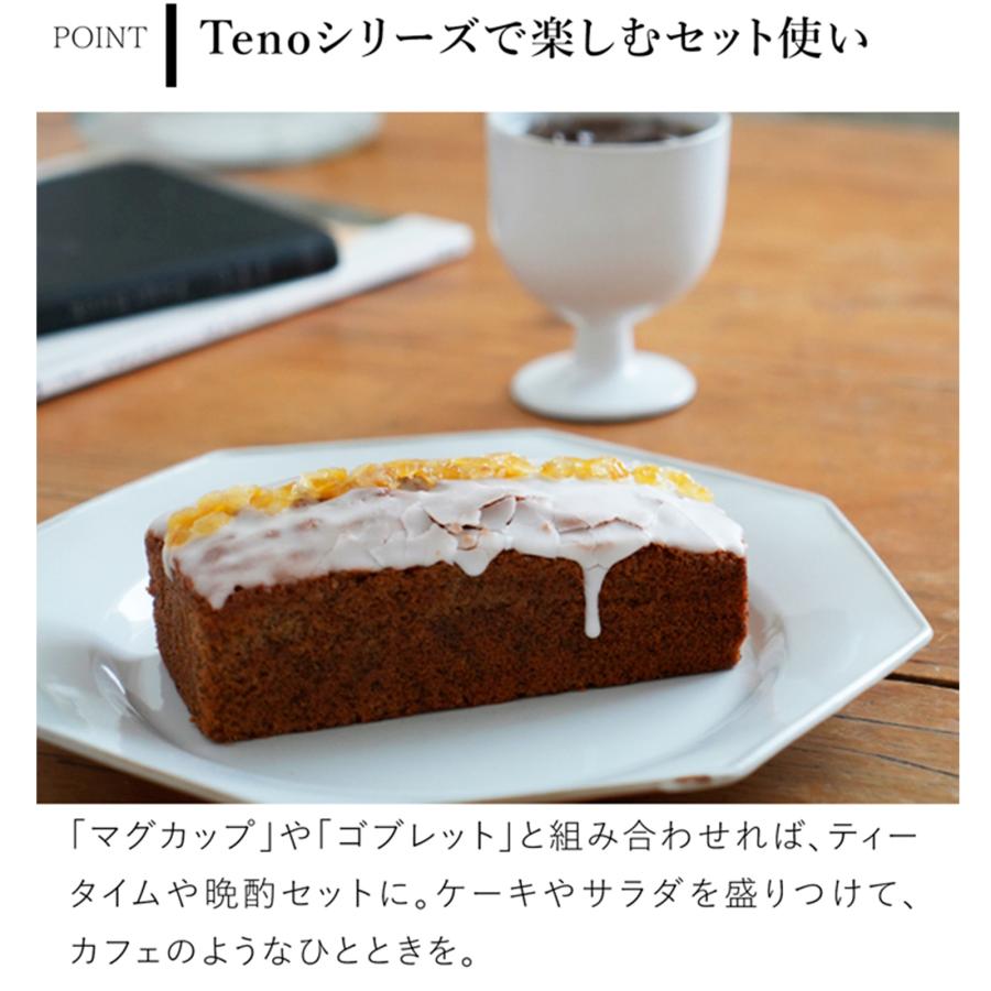 アクシス Teno オクトゴナルプレート L お皿 おしゃれ 食器 陶器 日本