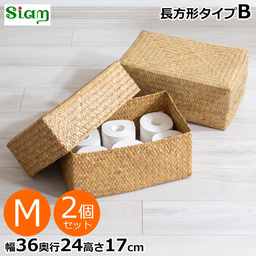 ＼10/1はポイント10倍／ 蓋付き 収納かご M 2個セット 幅36cm 長方形 ふた付き四角BOX バスケット 深型 サイアム カチュー 水草 Siam タイプB