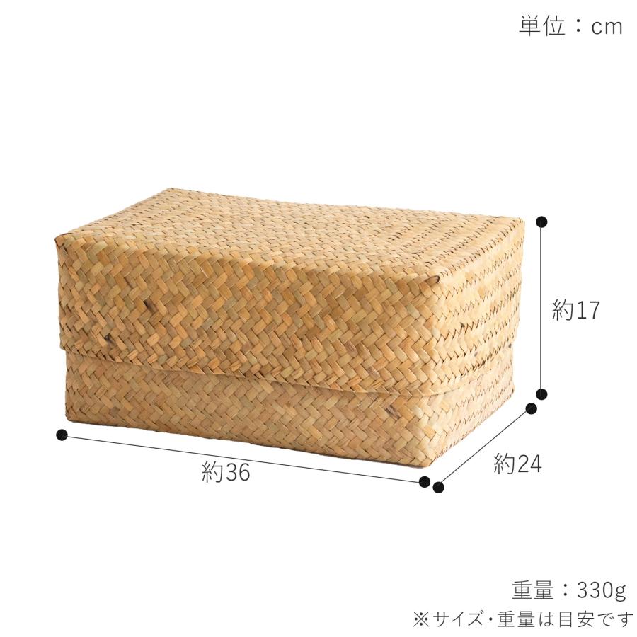 6/28はポイント10倍／ 蓋付き 収納かご M 2個セット 幅36cm 長方形