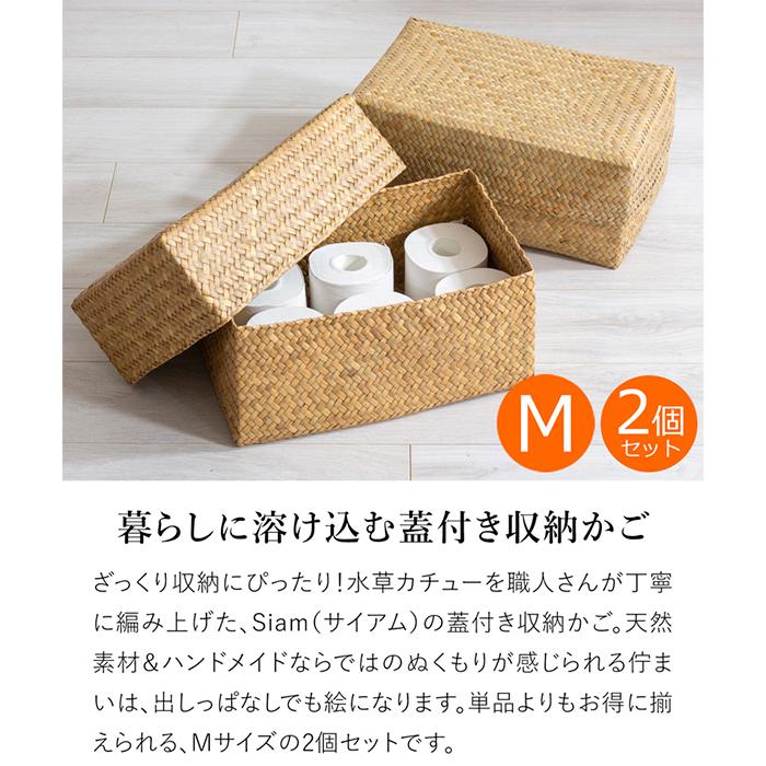 蓋付き 収納かご M 2個セット 幅36cm 長方形 ふた付き四角BOX