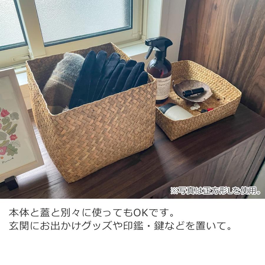 6/19-22はポイント10倍／ 蓋付き 収納かご 長方形 3個セット