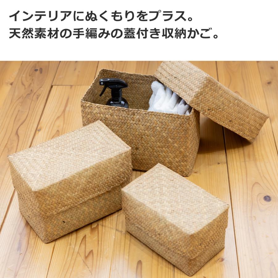 蓋付き 収納かご L 長方形 幅30cm バスケット 深型 サイアム カチュー