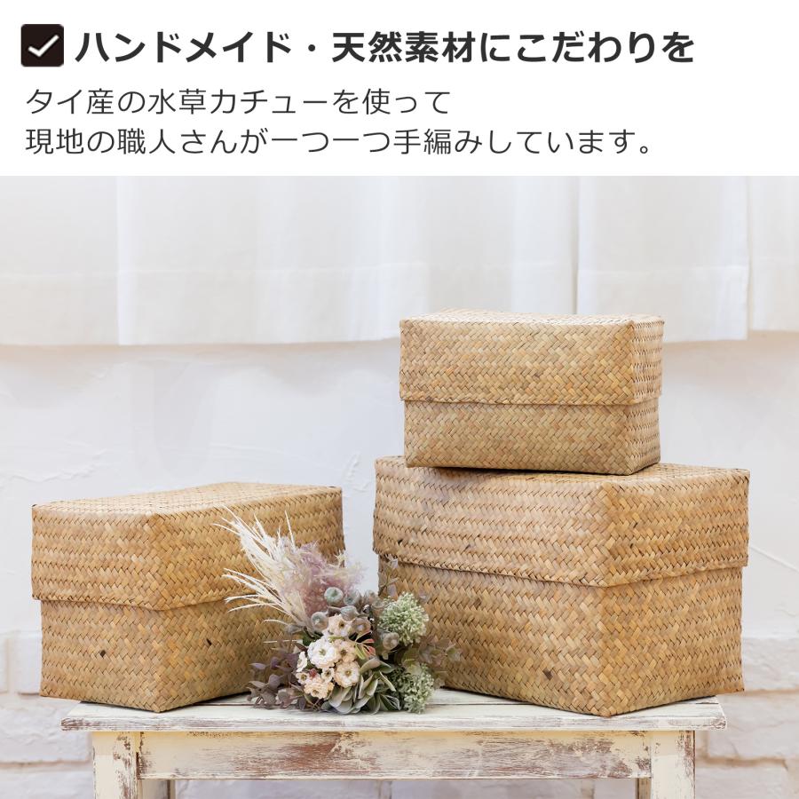 6/5-7はポイント10倍／ 蓋付き 収納かご L 長方形 幅30cm バスケット