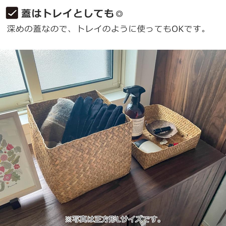 蓋付き 収納かご M 長方形 幅27cm バスケット 深型 サイアム カチュー