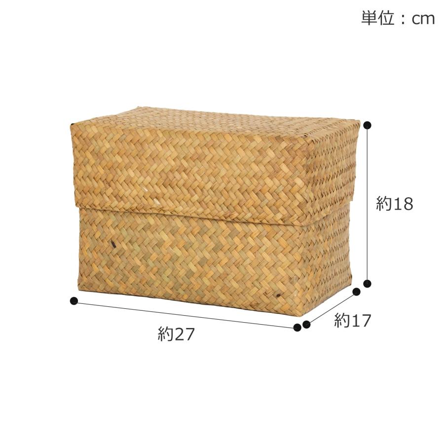 12/19〜22はポイント10倍／ 蓋付き 収納かご M 長方形 幅27cm