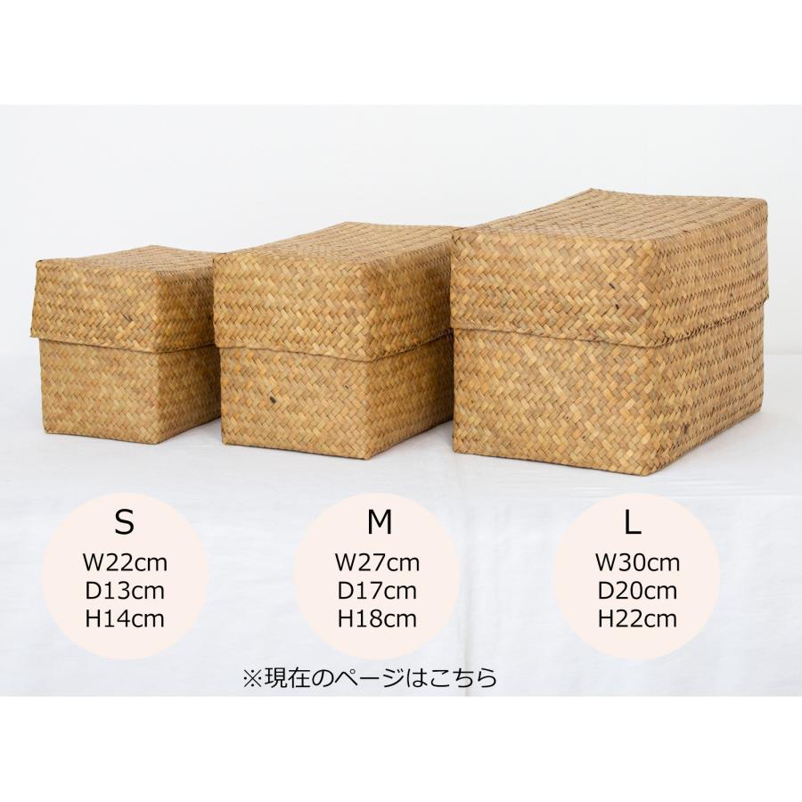 9/28はポイント10倍／ 蓋付き 収納かご M 長方形 幅27cm