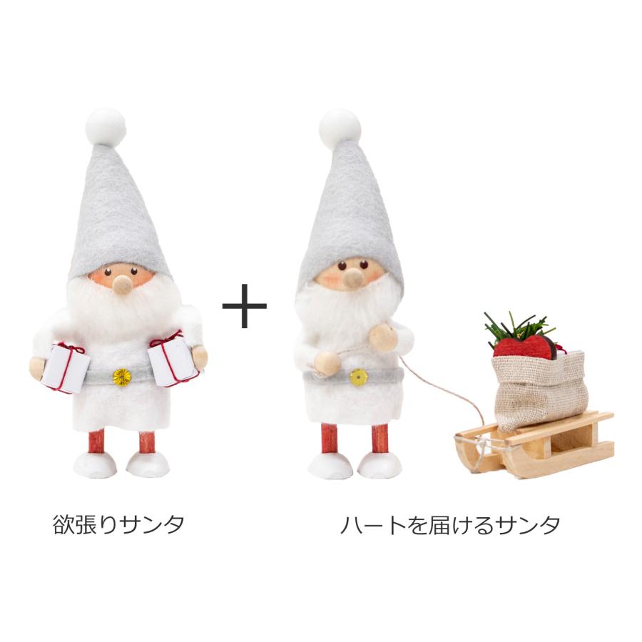 12/17-12/25限定 クーポンで10%OFF] ノルディカニッセ 2点 セット