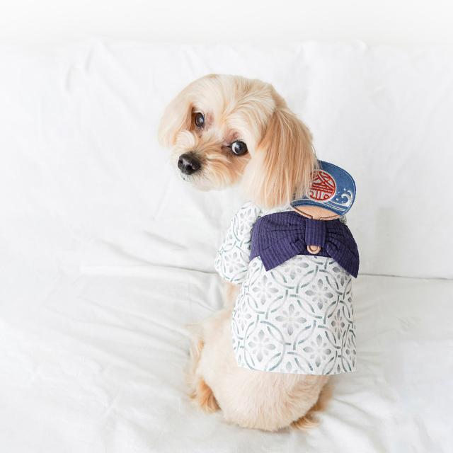 mocmof pet モクモフペット 犬用浴衣 うちわ飾り付 622-660077(犬 浴衣