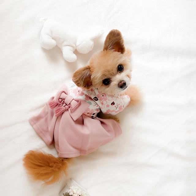 mocmof pet モクモフ ペット 犬用袴 622-650007(犬 和装 着物 袴 小型