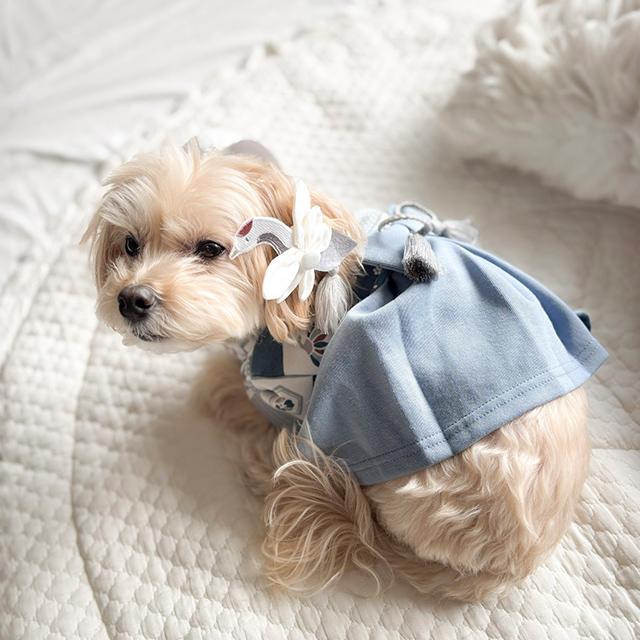 mocmof pet モクモフ ペット 犬用袴 622-650007(犬 和装 着物 袴 小型