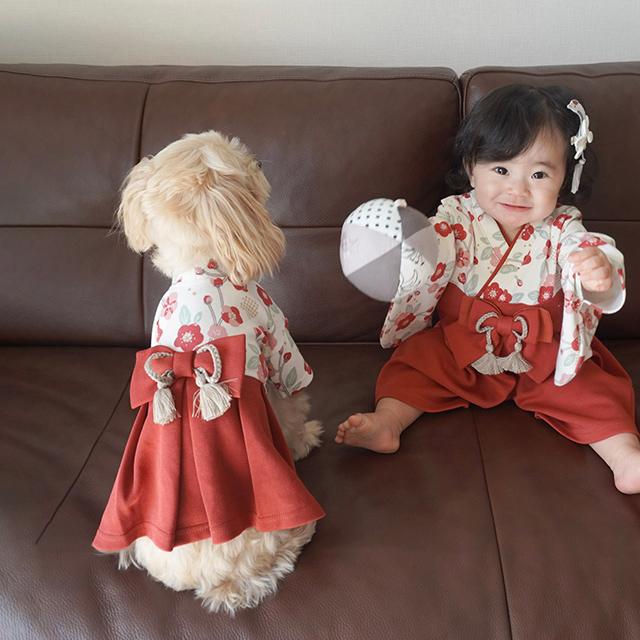 mocmof pet モクモフ ペット 犬用袴 622-650007(犬 和装 着物 袴 小型