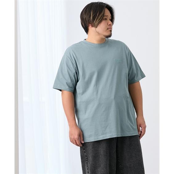 タウン&カントリー Tシャツ 半袖 綿100％ ワンポイント 半袖Tシャツ