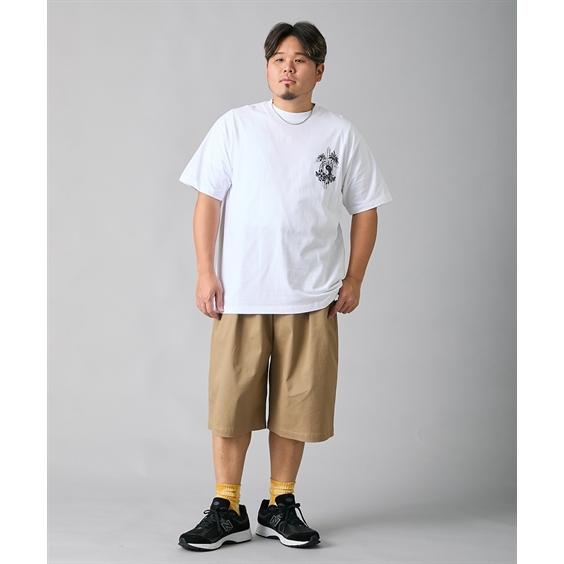 ぽあろん　サーフボード柄 半袖Tシャツ ホワイト タウン&カントリー Tシャツ 半袖 綿100％ バックプリント 半袖Tシャツ