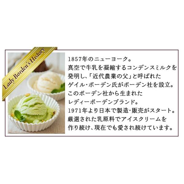 バレンタイン レディボーデン アイス ギフト 送料無料 詰め合わせ 誕生日 プレゼント ロッテ レディボーデン パイント ４種類アソートセット | レディーボーデン | 05