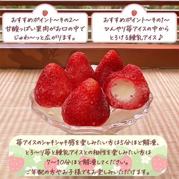 いちご アイス 苺 冷凍 ギフト スイーツ お取り寄せ ホワイトデー 春ギフト 卒業祝い 入学祝い 母の日 プレゼント 贈答用 5粒 送料無料 練乳 個包装 |  | 01