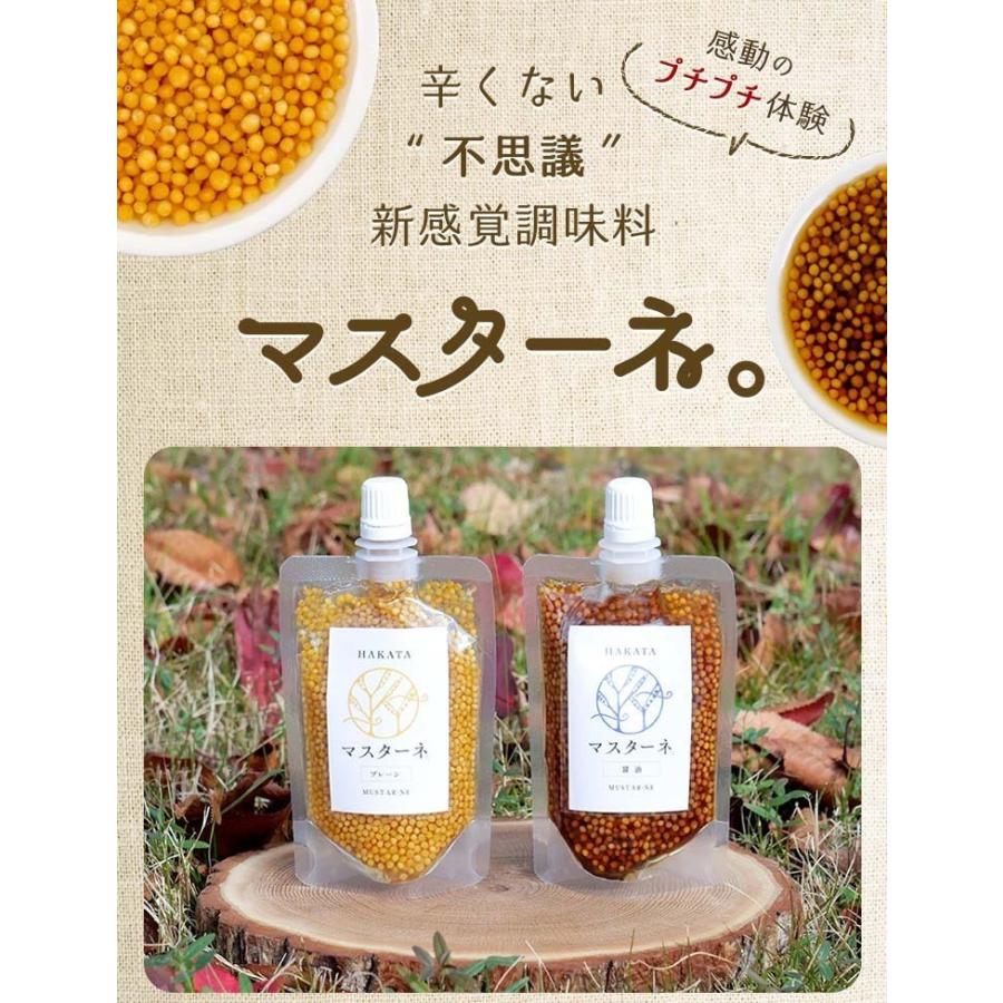 父の日 プレゼント ギフト 22 食べ物 高級 調味料 マスターネ2個セット マスタード マスタードシード ソース ドレッシング 香辛料 おしゃれ 御中元 お中元 002 フードセレクト Fbクリエイト 通販 Yahoo ショッピング