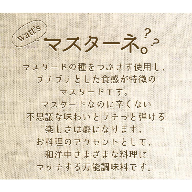 母の日 スイーツ アイス 食べ物 ギフト 2024 花以外 調味料 女性 贈り物 送料無料 マスタード マスタードシード 香辛料 おつまみ マスターネ 2個セット mother｜fbcreate｜03