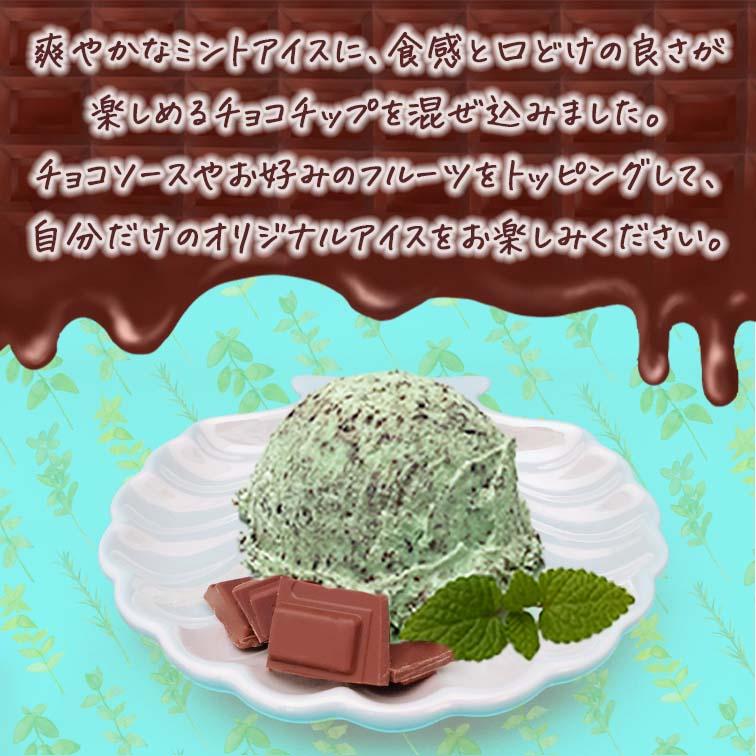 アイス 業務用アイス ロッテ チョコミント 2L 業務用 スイーツ 食後のデザート 子供 居酒屋 子供会 バルクアイス | 明治 | 01