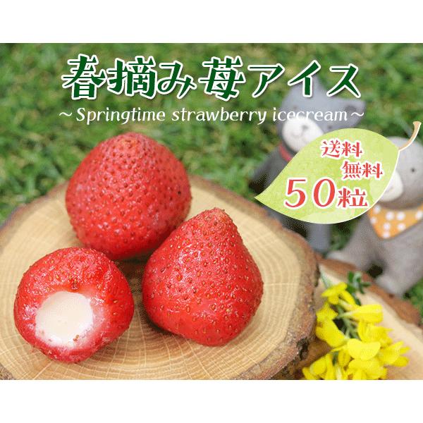 バレンタイン 2026 チョコ以外 送料無料 誕生日 プレゼント ギフト 詰め合わせ アイス ギフト 贈り物 スイーツ 春摘み苺 アイス 50粒 カゴ風袋 |  | 02