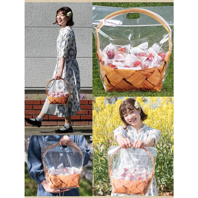 バレンタイン 2026 チョコ以外 送料無料 誕生日 プレゼント ギフト 詰め合わせ アイス ギフト 贈り物 スイーツ 春摘み苺 アイス 50粒 カゴ風袋 |  | 11