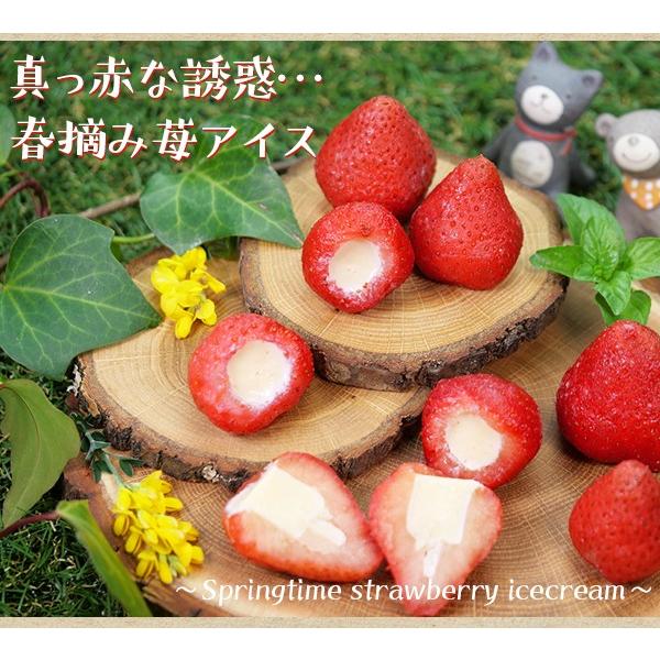 苺　　おまとめ２点 KOEDO ICHIGO陽香-haruka-【250g×2パック】 – 食べごち