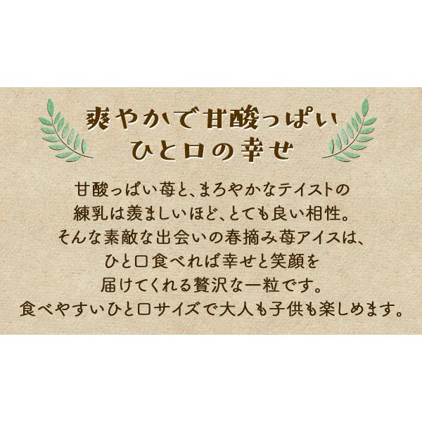 バレンタイン 2026 チョコ以外 送料無料 誕生日 プレゼント ギフト 詰め合わせ アイス ギフト 贈り物 スイーツ 春摘み苺 アイス 50粒 カゴ風袋 |  | 05