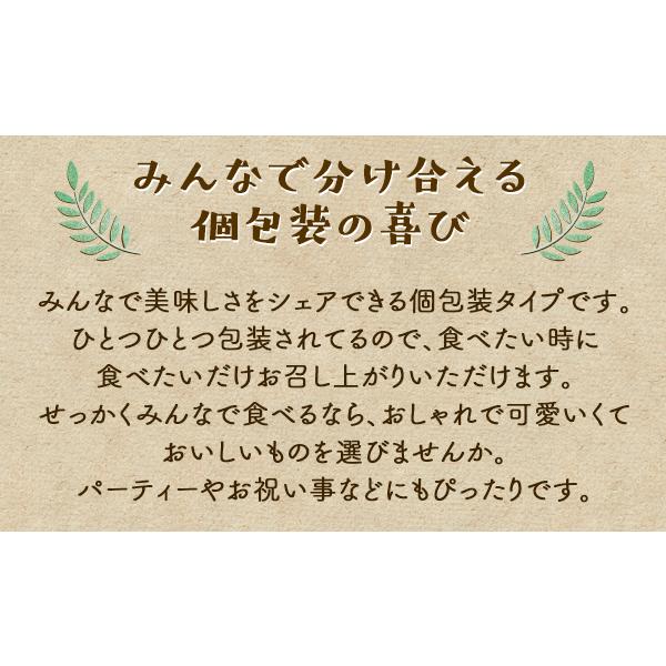 バレンタイン 2026 チョコ以外 送料無料 誕生日 プレゼント ギフト 詰め合わせ アイス ギフト 贈り物 スイーツ 春摘み苺 アイス 50粒 カゴ風袋 |  | 08