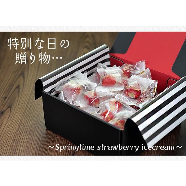 御歳暮 ギフト 2025 予約 詰め合わせ 送料無料 いちご 誕生日 アイス 贈り物 スイーツ プレゼント クリスマス 春摘み苺 アイス 50粒ボックス のし 化粧箱 |  | 07