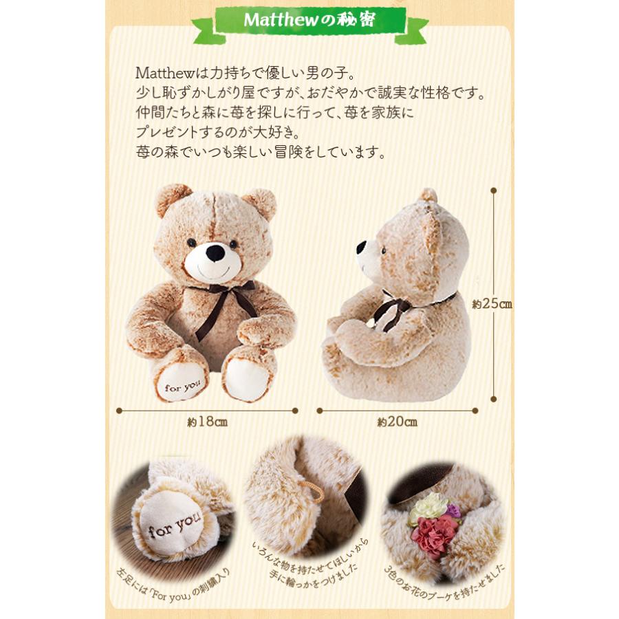 ぬいぐるみスイーツ 送料無料 ギフト 春摘み苺アイス＆ベアー「Matthew