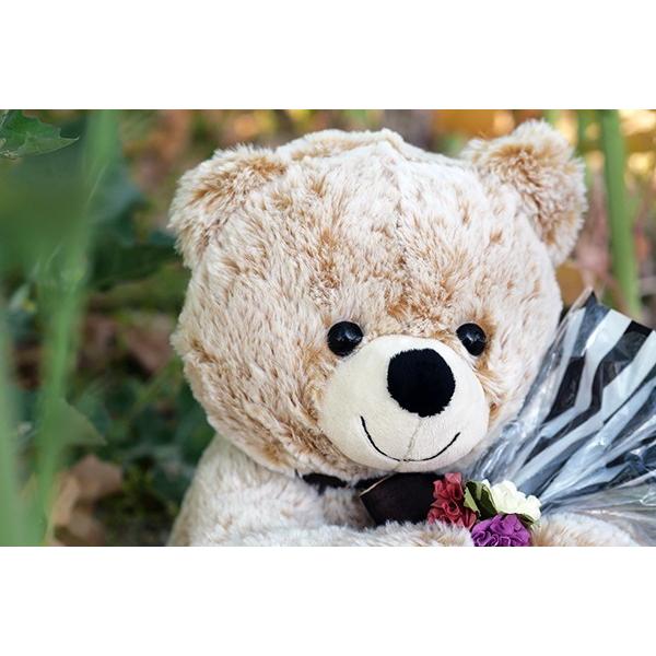 ぬいぐるみ スイーツ 送料無料 ギフト セット 春摘み苺アイス＆ベアー