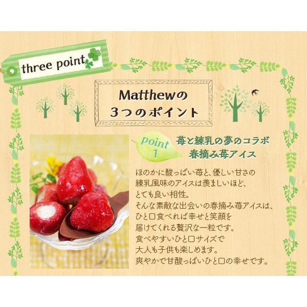 ぬいぐるみ スイーツ 送料無料 ギフト セット 春摘み苺アイス＆ベアー「Matthew」 熊 アイス プチギフト クリスマス プレゼント お歳暮 2025 |  | 05