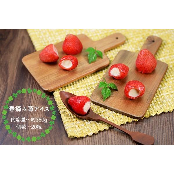 ぬいぐるみ スイーツ 送料無料 ギフト セット 春摘み苺アイス＆ベアー「Matthew」 熊 アイス プチギフト クリスマス プレゼント お歳暮 2025 |  | 08